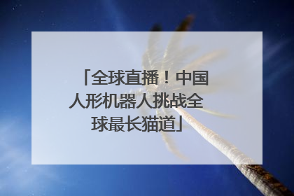 全球直播！中国人形机器人挑战全球最长猫道
