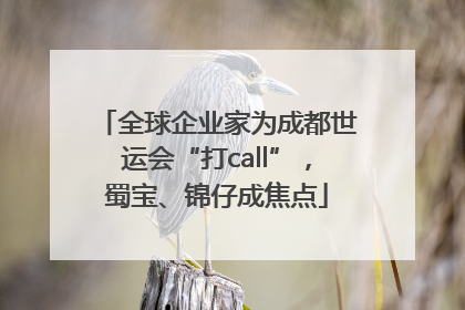 全球企业家为成都世运会“打call”，蜀宝、锦仔成焦点