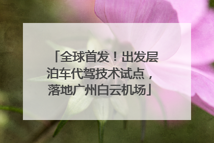 全球首发！出发层泊车代驾技术试点，落地广州白云机场