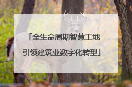 全生命周期智慧工地 引领建筑业数字化转型