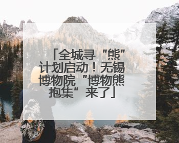 全城寻“熊”计划启动！无锡博物院“博物熊抱集”来了