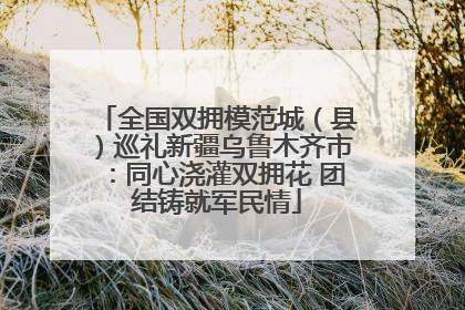全国双拥模范城（县）巡礼新疆乌鲁木齐市：同心浇灌双拥花 团结铸就军民情