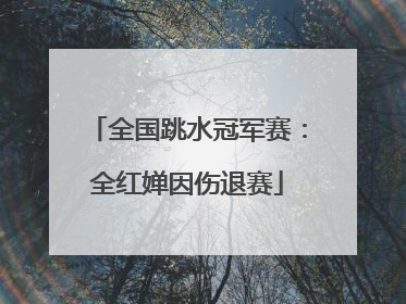 全国跳水冠军赛：全红婵因伤退赛