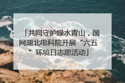 共同守护绿水青山，国网湖北电科院开展“六五”环境日志愿活动