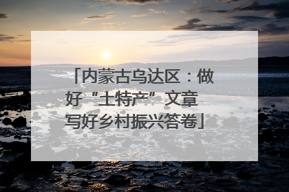 内蒙古乌达区：做好“土特产”文章 写好乡村振兴答卷