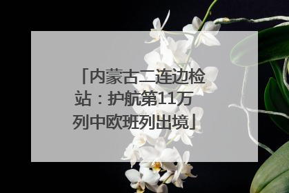 内蒙古二连边检站：护航第11万列中欧班列出境
