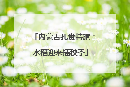 内蒙古扎赉特旗：水稻迎来插秧季