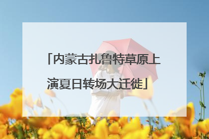 内蒙古扎鲁特草原上演夏日转场大迁徙