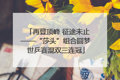 再登顶峰 征途未止——“莎头”组合圆梦世乒赛混双三连冠