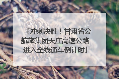 冲刺决胜！甘肃省公航旅集团天庄高速公路进入全线通车倒计时