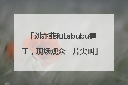 刘亦菲和Labubu握手，现场观众一片尖叫