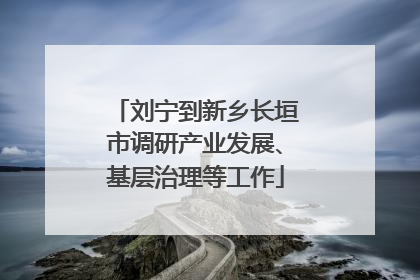刘宁到新乡长垣市调研产业发展、基层治理等工作