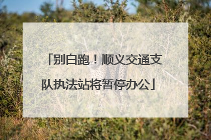 别白跑！顺义交通支队执法站将暂停办公