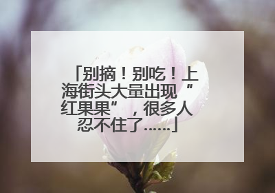 别摘！别吃！上海街头大量出现“红果果”，很多人忍不住了……