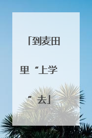 到麦田里“上学”去
