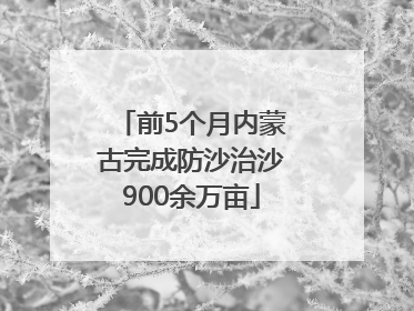前5个月内蒙古完成防沙治沙900余万亩