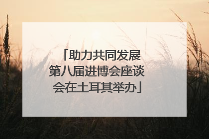 助力共同发展 第八届进博会座谈会在土耳其举办
