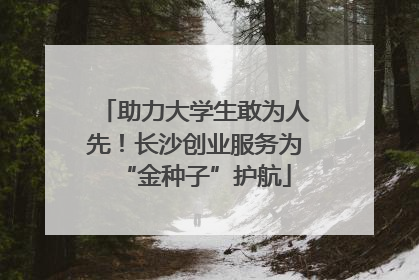 助力大学生敢为人先！长沙创业服务为“金种子”护航