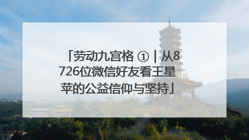 劳动九宫格 ①｜从8726位微信好友看王星苹的公益信仰与坚持
