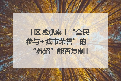 区域观察丨“全民参与+城市荣誉”的“苏超”能否复制