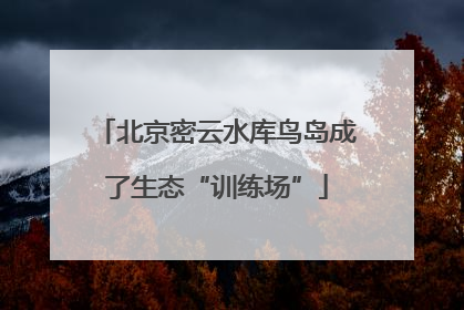 北京密云水库鸟岛成了生态“训练场”