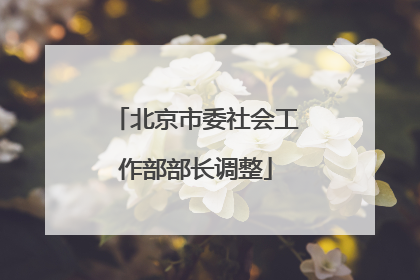 北京市委社会工作部部长调整