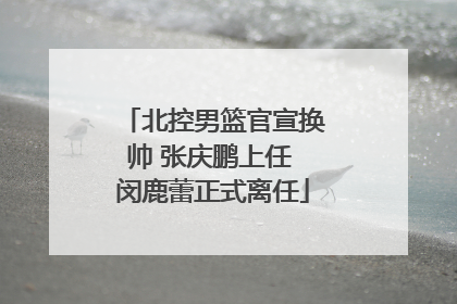 北控男篮官宣换帅 张庆鹏上任 闵鹿蕾正式离任