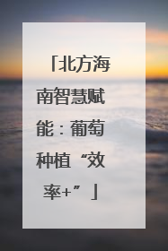 北方海南智慧赋能：葡萄种植“效率+”