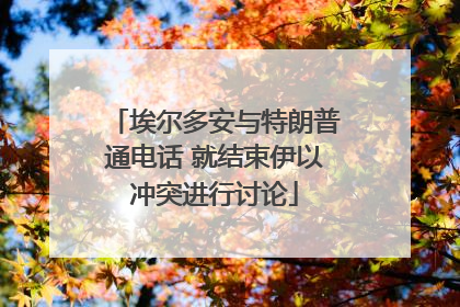 埃尔多安与特朗普通电话 就结束伊以冲突进行讨论