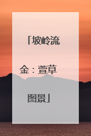坡岭流金：萱草图景