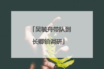 吴毓舟带队到长卿镇调研