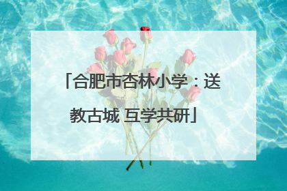 合肥市杏林小学：送教古城 互学共研