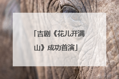 吉剧《花儿开满山》成功首演