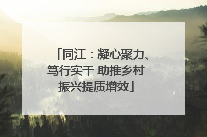 同江：凝心聚力、笃行实干 助推乡村振兴提质增效