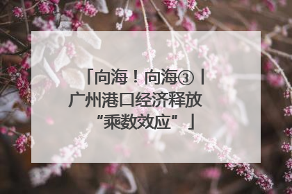 向海！向海③丨广州港口经济释放“乘数效应”