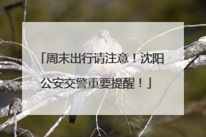 周末出行请注意！沈阳公安交警重要提醒！