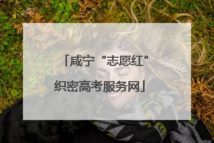 咸宁“志愿红”织密高考服务网