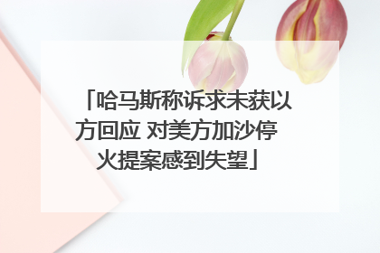哈马斯称诉求未获以方回应 对美方加沙停火提案感到失望
