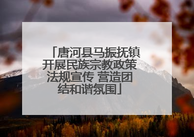 唐河县马振抚镇开展民族宗教政策法规宣传 营造团结和谐氛围