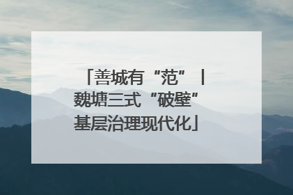善城有“范”丨魏塘三式“破壁”基层治理现代化