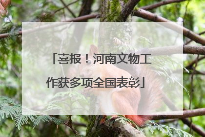 喜报！河南文物工作获多项全国表彰