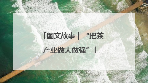 图文故事｜“把茶产业做大做强”