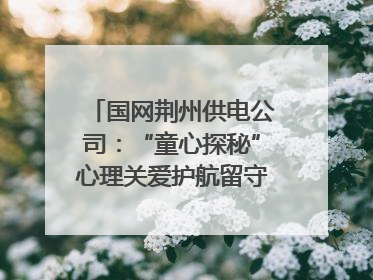 国网荆州供电公司：“童心探秘”心理关爱护航留守儿童成长