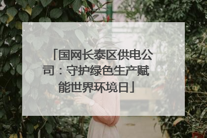 国网长泰区供电公司：守护绿色生产赋能世界环境日