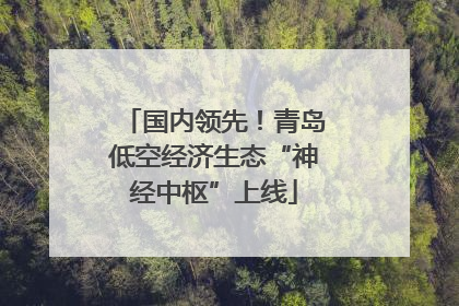 国内领先！青岛低空经济生态“神经中枢”上线