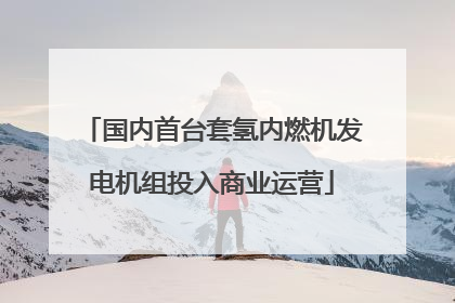 国内首台套氢内燃机发电机组投入商业运营