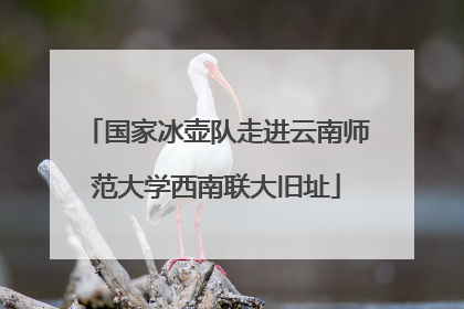 国家冰壶队走进云南师范大学西南联大旧址