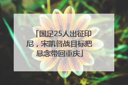 国足25人出征印尼，宋凯督战目标把悬念带回重庆