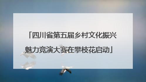 四川省第五届乡村文化振兴魅力竞演大赛在攀枝花启动