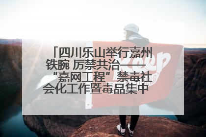 四川乐山举行嘉州铁腕 厉禁共治——“嘉网工程”禁毒社会化工作暨毒品集中销毁启动仪式